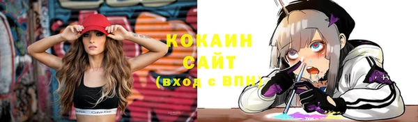 эйфоретик Гусь-Хрустальный