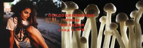 мдма Гусев