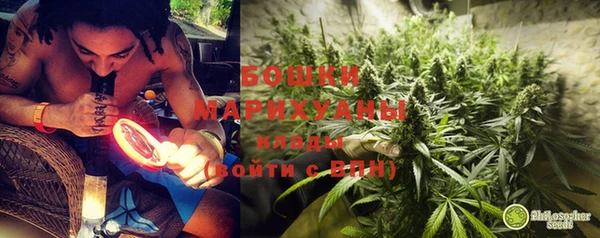 дживик Дмитровск
