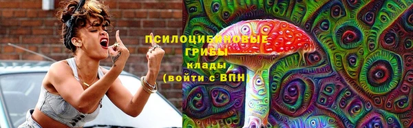 дживик Дмитровск