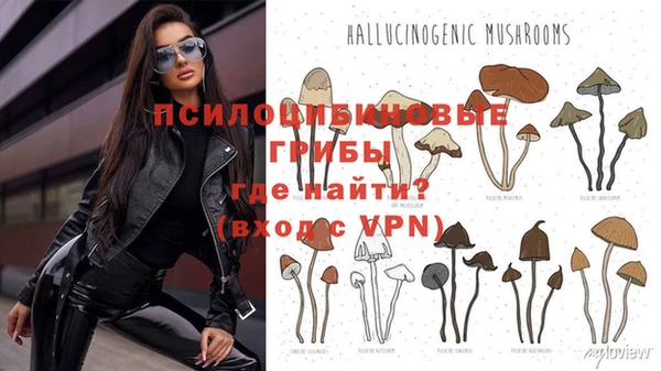 эйфоретик Гусь-Хрустальный