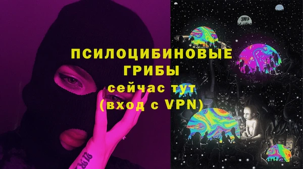 бутират Дмитриев