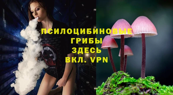 дживик Дмитровск