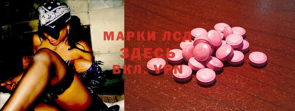 эйфоретик Гусь-Хрустальный