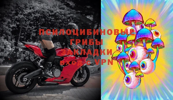 ПСИЛОЦИБИНОВЫЕ ГРИБЫ Гусиноозёрск