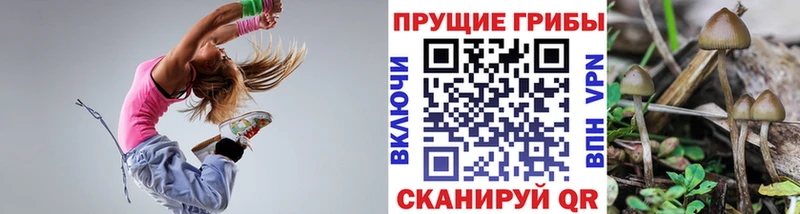 Псилоцибиновые грибы ЛСД  купить наркотик  кракен как зайти  Комсомольск 